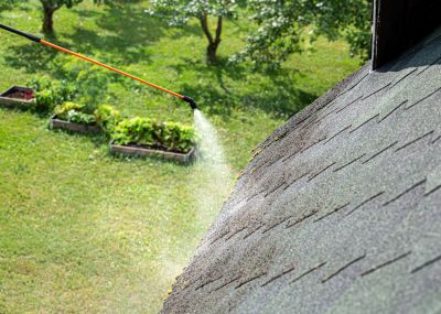 Roof Dirt Removal
