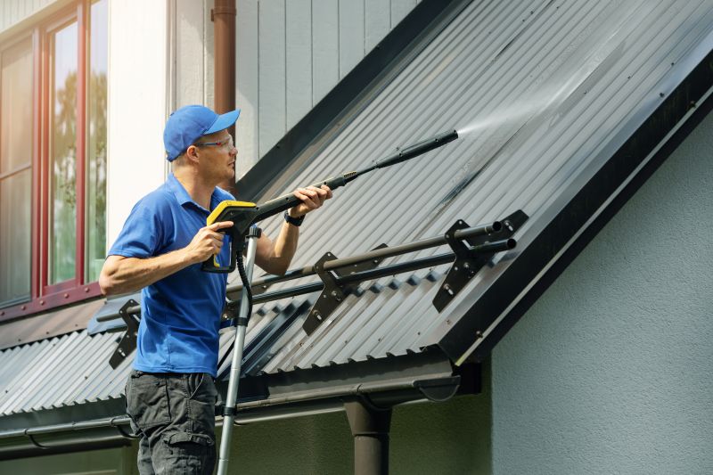 Roof Dirt Removal