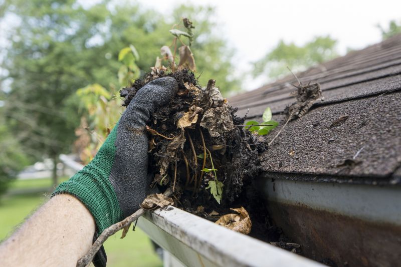 Roof Dirt Removal