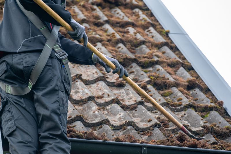 Roof Dirt Removal Process