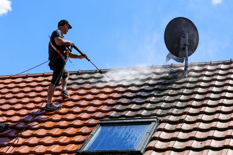 Customer Satisfaction in Roof Cleaning